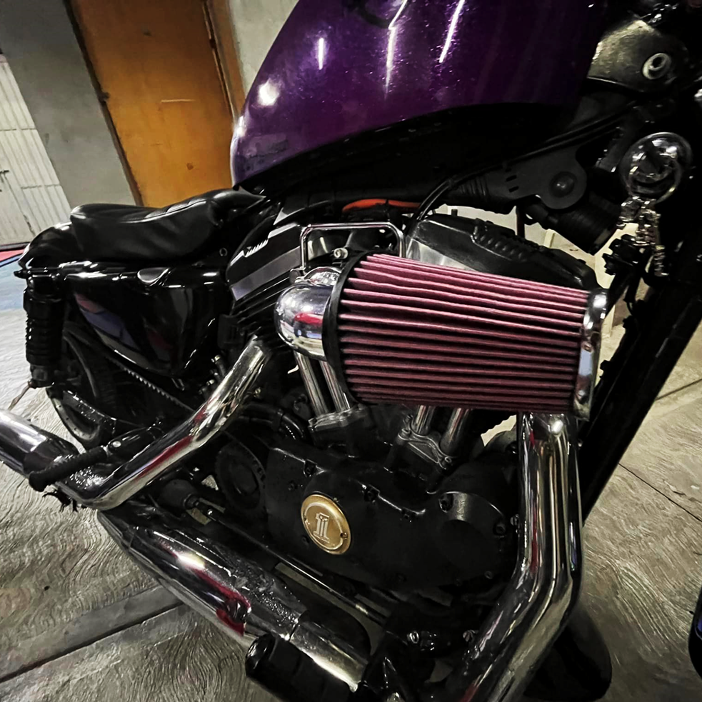 Filtro de Alto Flujo - Modelos Sportster 04-22
