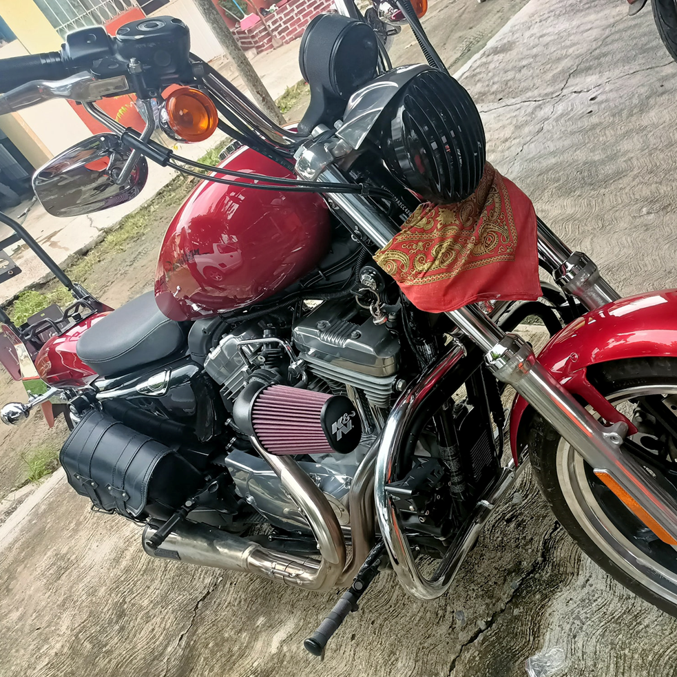Filtro de Alto Flujo - Modelos Sportster 04-22